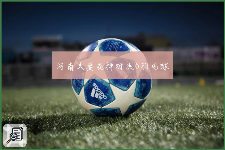 河南夫妻花样对决6羽毛球