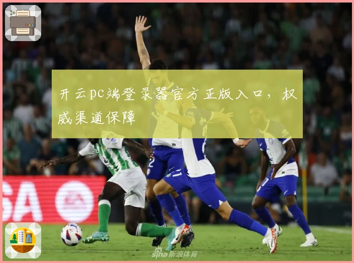 开云pc端登录器官方正版入口，权威渠道保障