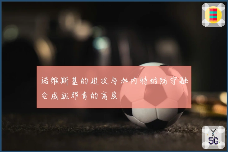 诺维斯基的进攻与加内特的防守融合成就邓肯的高度