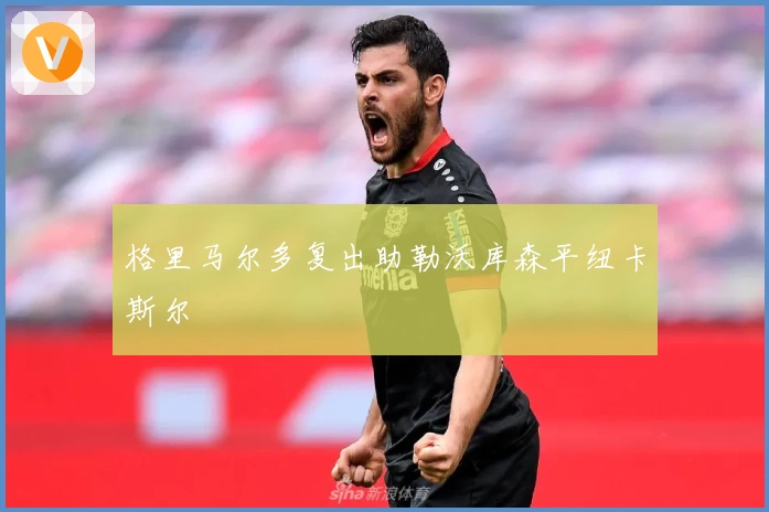 格里马尔多复出助勒沃库森平纽卡斯尔